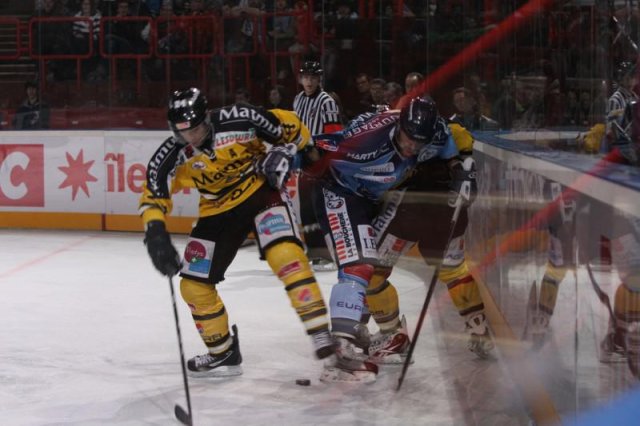 Photo hockey reportage Finale Coupe de France 2011 : Reportage photos 1