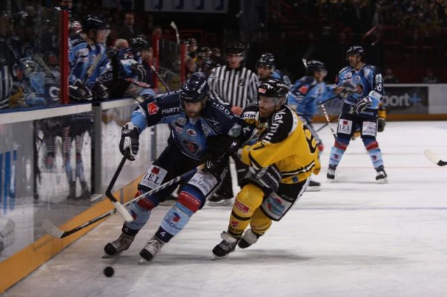 Photo hockey reportage Finale Coupe de France 2011 : Reportage photos 1