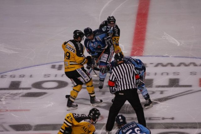 Photo hockey reportage Finale Coupe de France 2011 : Reportage photos 1