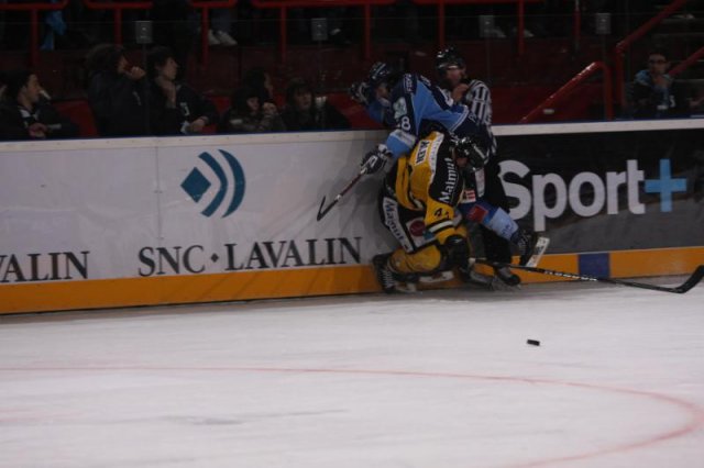 Photo hockey reportage Finale Coupe de France 2011 : Reportage photos 1