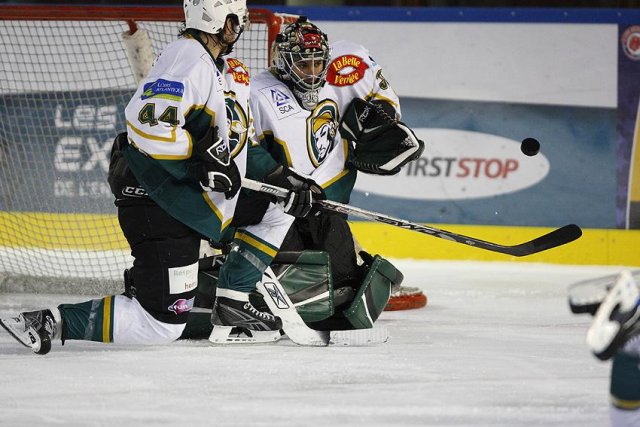 Photo hockey reportage D2 : Lyon - Nantes en images