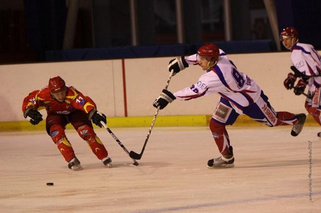 Photo hockey match Orléans - Asnières le 25/02/2012