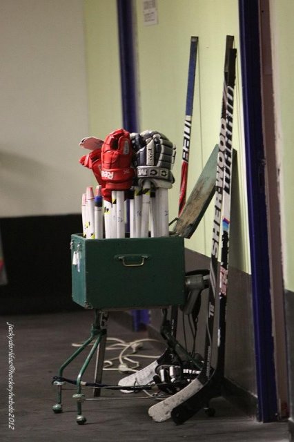 Photo hockey match Orléans - Chambéry le 07/04/2012