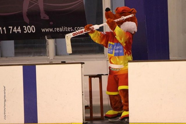 Photo hockey match Orléans - Chambéry le 07/04/2012
