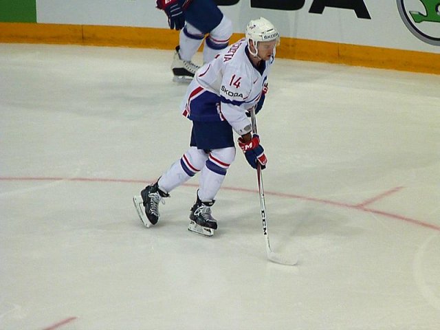 Photo hockey album Mondial 12 - Finlande VS France