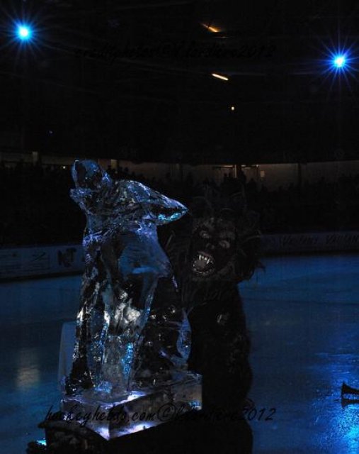 Photo hockey match Grenoble  - Villard-de-Lans le 16/11/2012