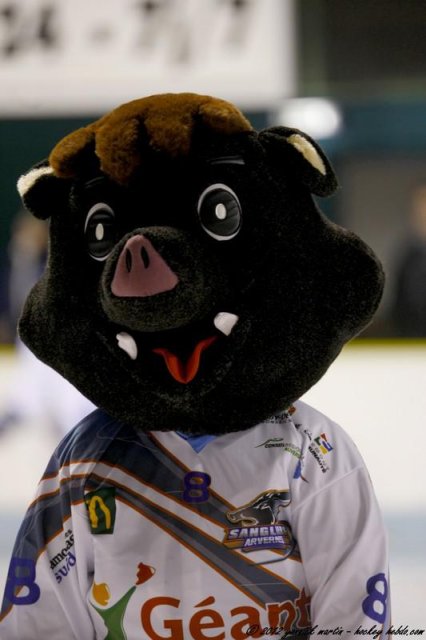 Photo hockey match Clermont-Ferrand II - Marseille le 08/12/2012