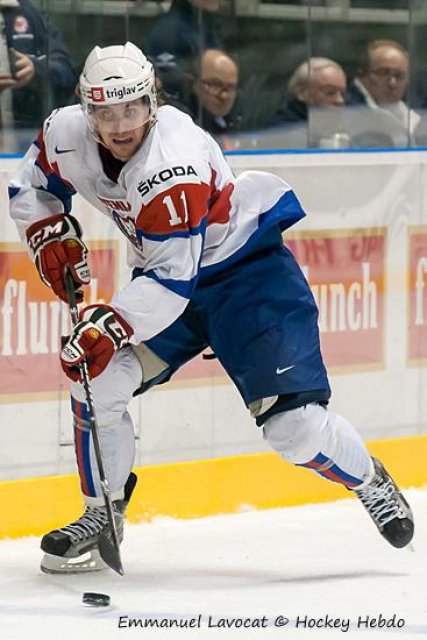 Photo hockey reportage France 6 - Kopitar 1 