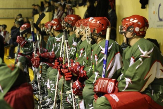 Photo hockey match Cergy-Pontoise - Bordeaux le 15/11/2008