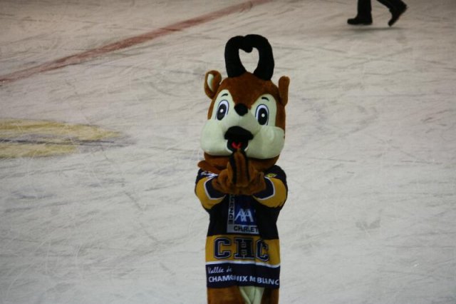 Photo hockey match Chamonix  - Caen  le 02/01/2013