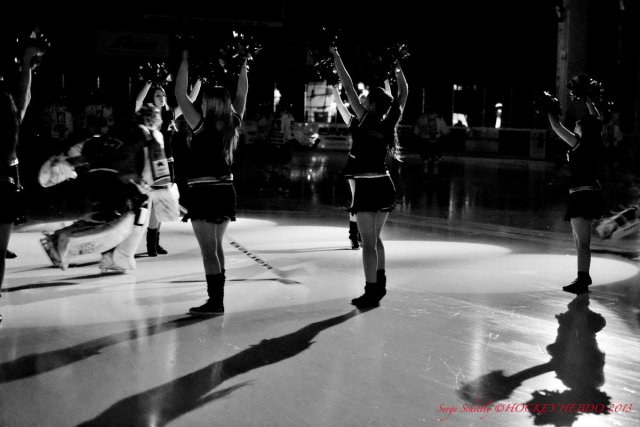Photo hockey match Mulhouse - Amiens  le 20/01/2013