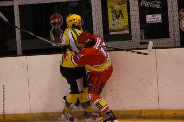 Photo hockey match Orléans - Viry-Châtillon le 09/03/2013