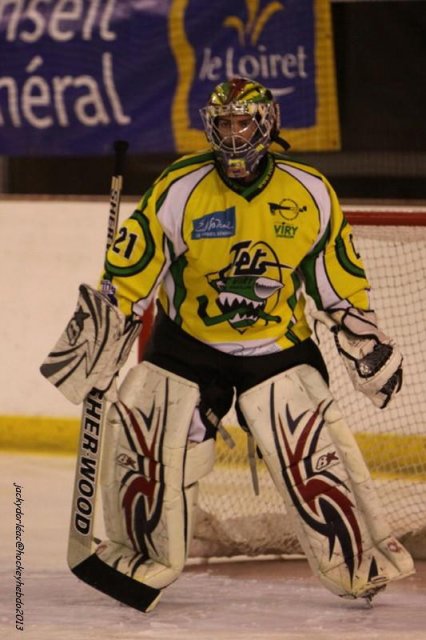 Photo hockey match Orléans - Viry-Châtillon le 09/03/2013
