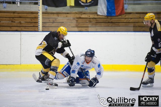 Photo hockey match Roanne - Marseille le 23/03/2013