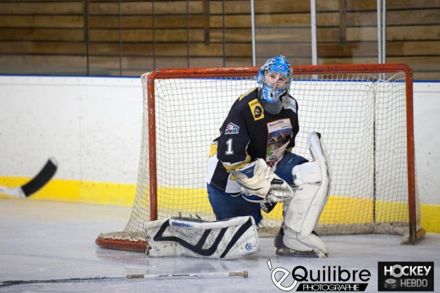 Photo hockey match Roanne - Marseille le 23/03/2013