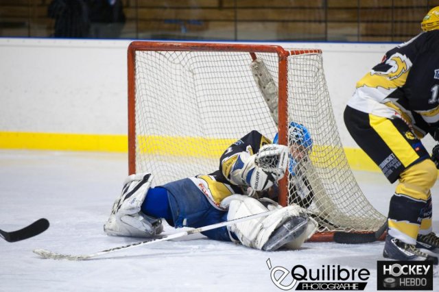 Photo hockey match Roanne - Marseille le 23/03/2013