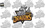 Rouen signe son coach