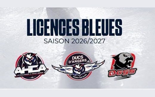AHCA - Cholet - Angers - Licences Bleues