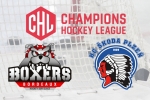 CHL BORDEAUX s'incline vs HC Plzeň