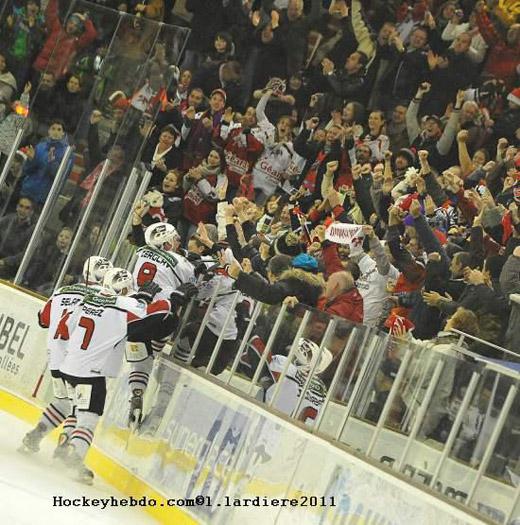Photo hockey Coupe de la Ligue : réactions - Coupe de la Ligue ARCHIVES