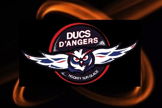Photo hockey Media Day 2024 : Ducs d’Angers - Ligue Magnus : Angers  (Les Ducs)