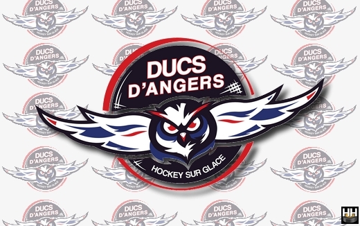 Photo hockey Angers - Communiqué suite à décision CIRJ  - Ligue Magnus : Angers  (Les Ducs)