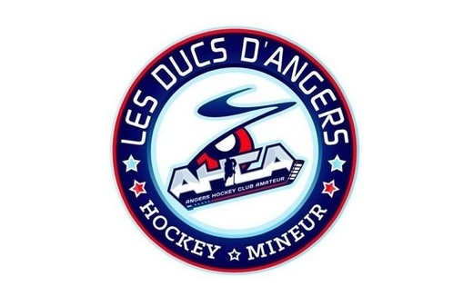 Photo hockey Angers Amateur recrute entraîneur(se) - Hockey Mineur : Angers  (Les Ducs)