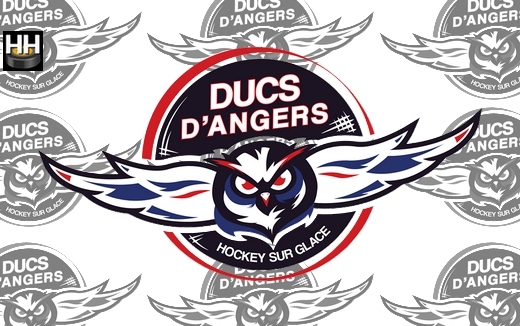 Photo hockey Angers signe un centre suédois - Ligue Magnus : Angers  (Les Ducs)