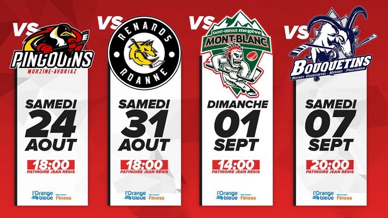 Photo hockey Annecy : Programme des matchs amicaux  - Transferts Archives 2017 à 2023 : Annecy (Les Chevaliers du Lac)