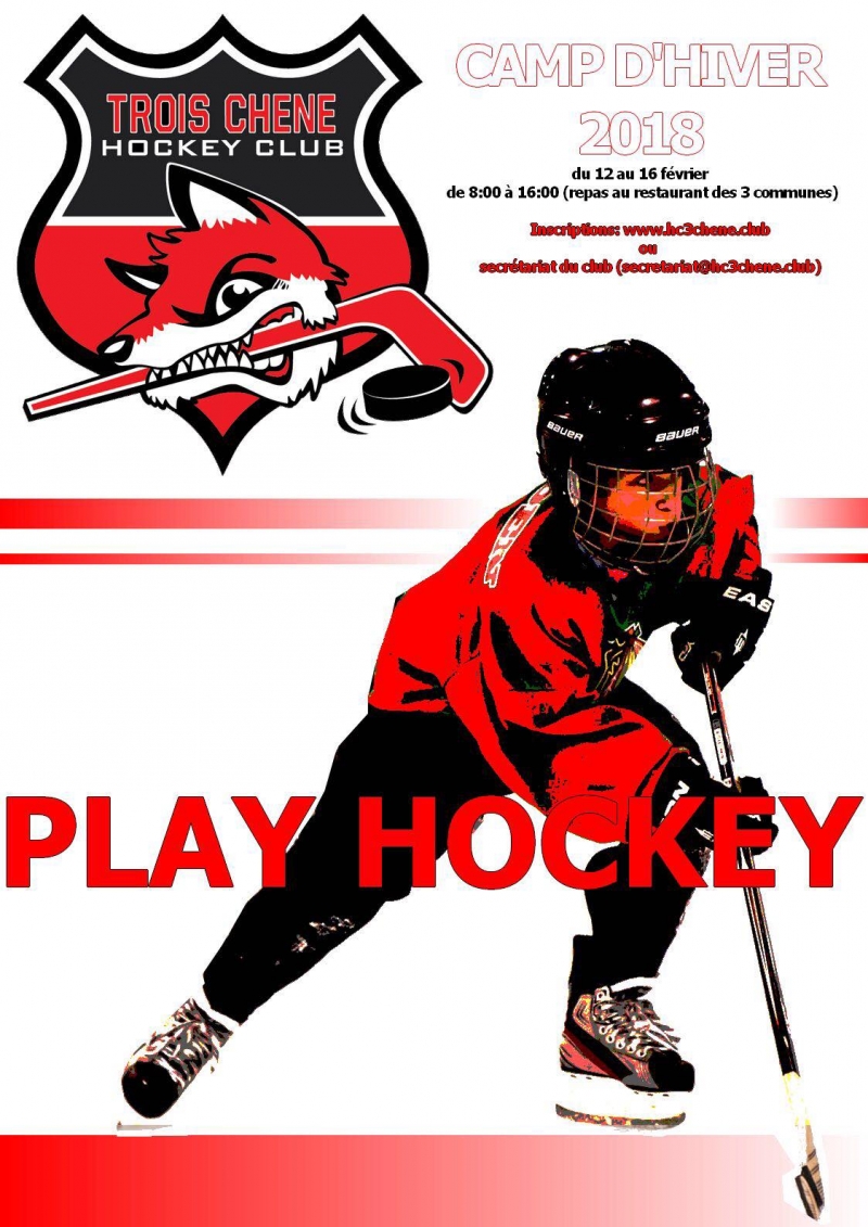 Photo hockey Camp de hockey à Genève en février - Hockey Mineur