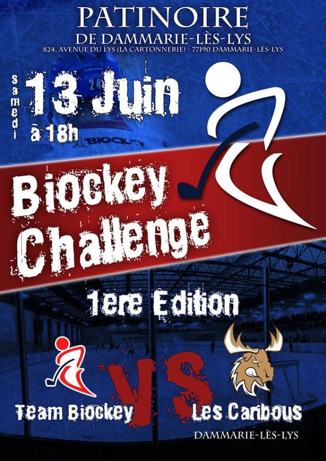 Photo hockey Challenge à Dammarie les Lys le 13 juin - Division 3 : Dammarie-les-Lys (Les Caribous)