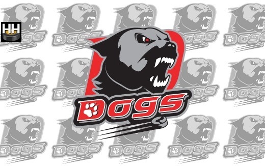 Photo hockey CHOLET - Le programme de PRE SAISON - Division 1 : Cholet  (Les Dogs)