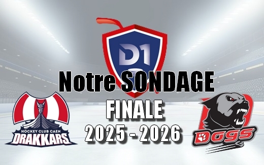 Photo hockey D1 SONDAGE - Qui remportera le TITRE de Division 1 - Division 1