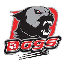Photo hockey D2 : Cholet recrute en défense - Division 2 : Cholet  (Les Dogs)