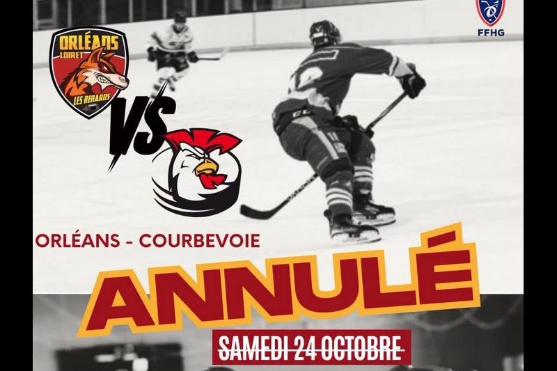 Photo hockey D2 - Orléans vs Courbevoie inversé ! - Division 2