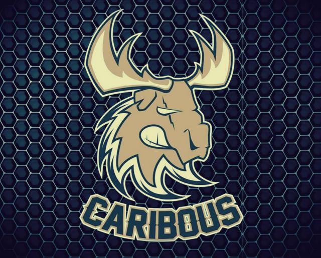 Photo hockey D3 : Les Caribous toujours en galère - Division 3 : Dammarie-les-Lys (Les Caribous) Photo hockey D3 : Les Caribous toujours en galère - Division 3 : Dammarie-les-Lys (Les Caribous)
