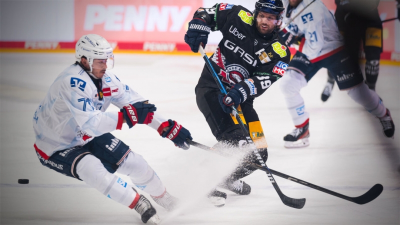 Photo hockey DEL : Les ours dînent de l