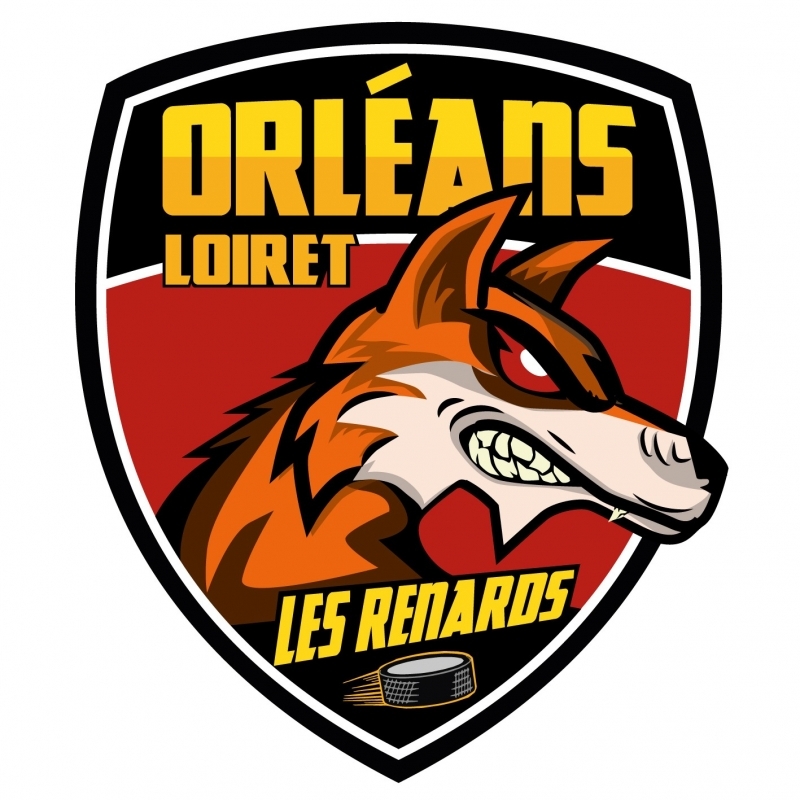 Photo hockey Division 3 : Orléans recrute - Division 3 : Orléans (Les Renards)