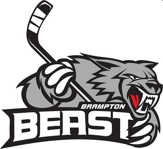 Photo hockey ECHL : Bozon fait ses débuts - Hockey dans le Monde