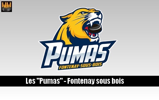 Photo hockey Fontenay recherche un Entraîneur Général Hockey - Hockey en France : Fontenay sous Bois (Les Pumas)