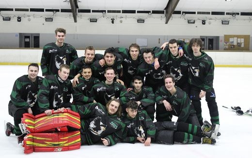 Photo hockey Hock
