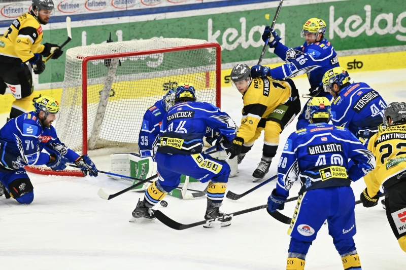 Photo hockey ICEHL : Rusé comme un renard - Hockey en Europe Photo hockey ICEHL : Rusé comme un renard - Hockey en Europe