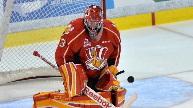 Photo hockey LHJMQ : Le Drakkar flotte de nouveau - LHJMQ - Ligue de Hockey Junior Majeur du Québec