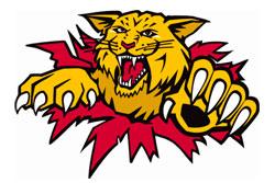 Photo hockey LHJMQ : Les Wildcats en quarantaine - LHJMQ - Ligue de Hockey Junior Majeur du Québec