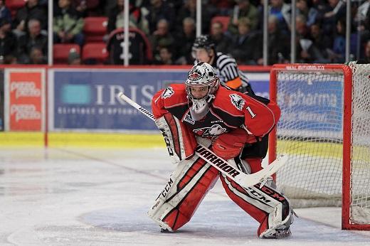 Photo hockey LHJMQ : Rouyn-Noranda dans la douleur - LHJMQ - Ligue de Hockey Junior Majeur du Québec Photo hockey LHJMQ : Rouyn-Noranda dans la douleur - LHJMQ - Ligue de Hockey Junior Majeur du Québec