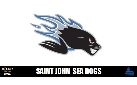 Photo hockey LHJMQ - St-John transige avec Drummondville - LHJMQ - Ligue de Hockey Junior Majeur du Québec