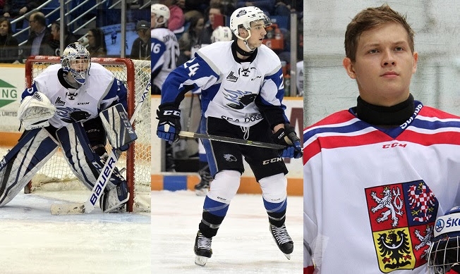 Photo hockey LHJMQ - Trois Sea Dogs aux camps des recrues NHL - LHJMQ - Ligue de Hockey Junior Majeur du Québec