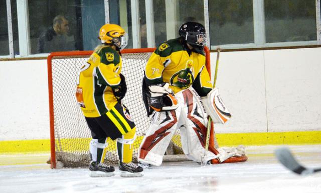 Photo hockey Loisirs : Asnières se maintient - Hockey Mineur Photo hockey Loisirs : Asnières se maintient - Hockey Mineur