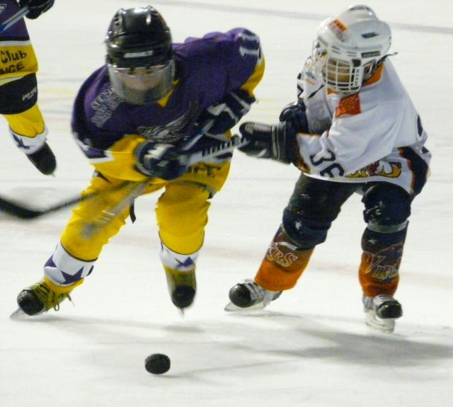 Photo hockey Mineur : Montpellier résultats et programme du week-end - Hockey Mineur : Montpellier  (Les Vipers)