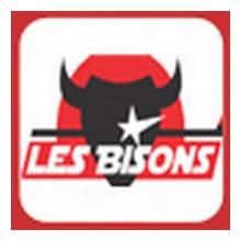 Photo hockey Neuilly : Communiqué de presse - Division 1 : Neuilly/Marne (Les Bisons)